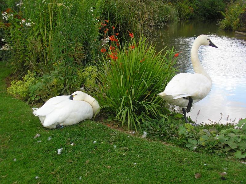 Kia-Ora Farm & Gardens